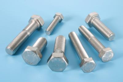 Hex Head Cap Screws / Hex Bolts